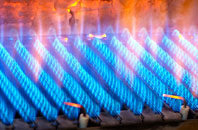 Hampton Park gas fired boilers